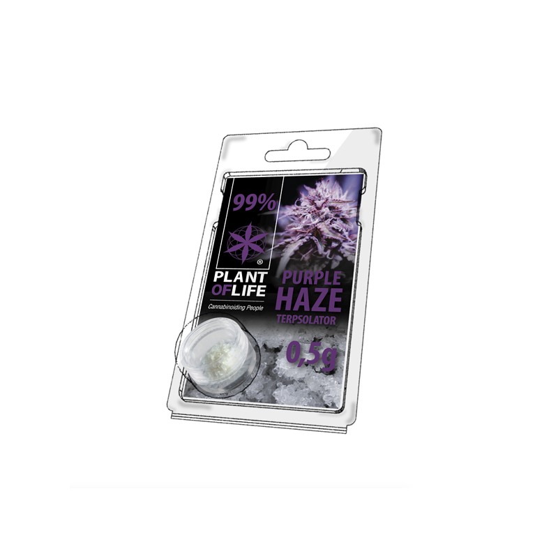 plant of life CBD puro terpsolator infuso con purple haze terpeni