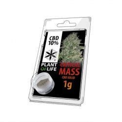 critical mass hash solid 10% wholesale italy