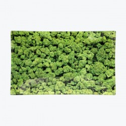 Large V-Syndiacte glass rolling tray with green buds design