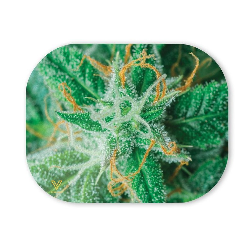 magnetic cannabis plant tray cover v-syndicate