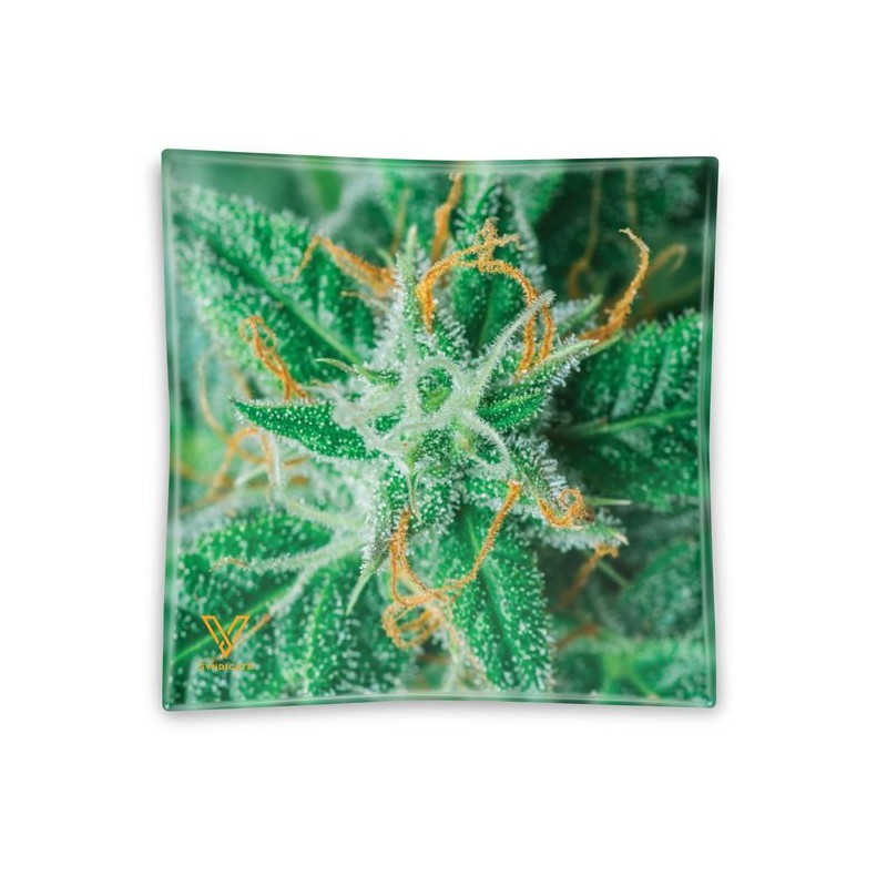 ak-47 v-syndicate glass ashtrays