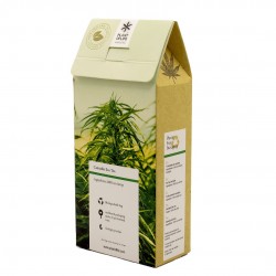 Natural Hemp Tea Bags with CBD and CBG Wholesale and distribution.
