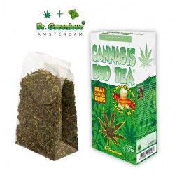 tea infusion with hemp and mint - dr greenlove amsterdam wholesale