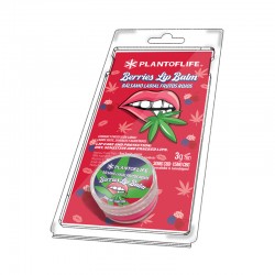 CBD Lip Balm 3g - Berries