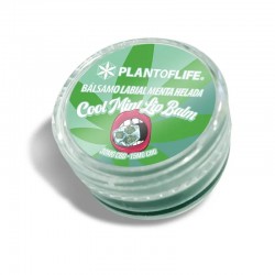 Mint CBD Lip Balm Plant of Life Wholesale