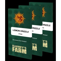 Lemon Drizzle - 3 Seeds |...