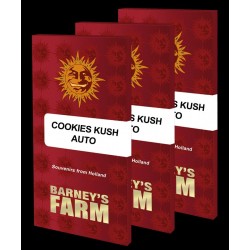 Cookies Kush Auto - 3 Seeds...
