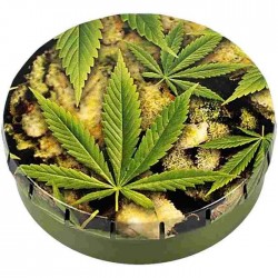 click-clack easy open metal tin Wholesale - Buds cannabis design