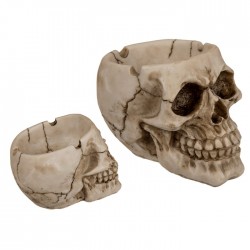 Polyresin Skull Ashtray - 12cm