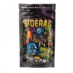 Ripper Seeds - Sideral - 3...