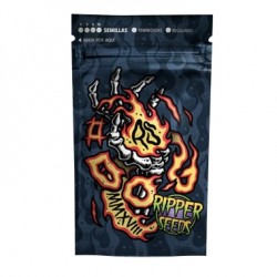 Ripper Seeds - DO-G - 5...