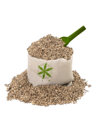 Wholesale Bulk Cannabis Seeds - Feminized and Autoflowering