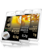 CBD and CBG Extractions | Plant of Life Wholesale
