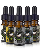 Huile CBD de coco MCT en Gros - Plant of Life