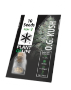 Feminized Cannabis Seeds | Plant of Life Wholesale