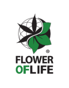 Flower of Life - Olio H4CBD e CBD Ingrosso e Distribuzione