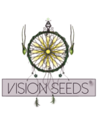 Vendita all'ingrosso di semi femminizzati di cannabis di Vision Seeds