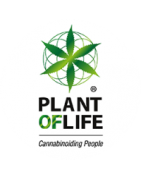 Feminized Plant of Life Cannabis Seeds | Wholesale & Distribution